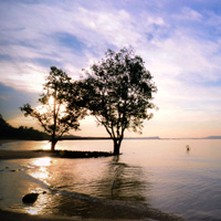 小黑ddos压力测试平台